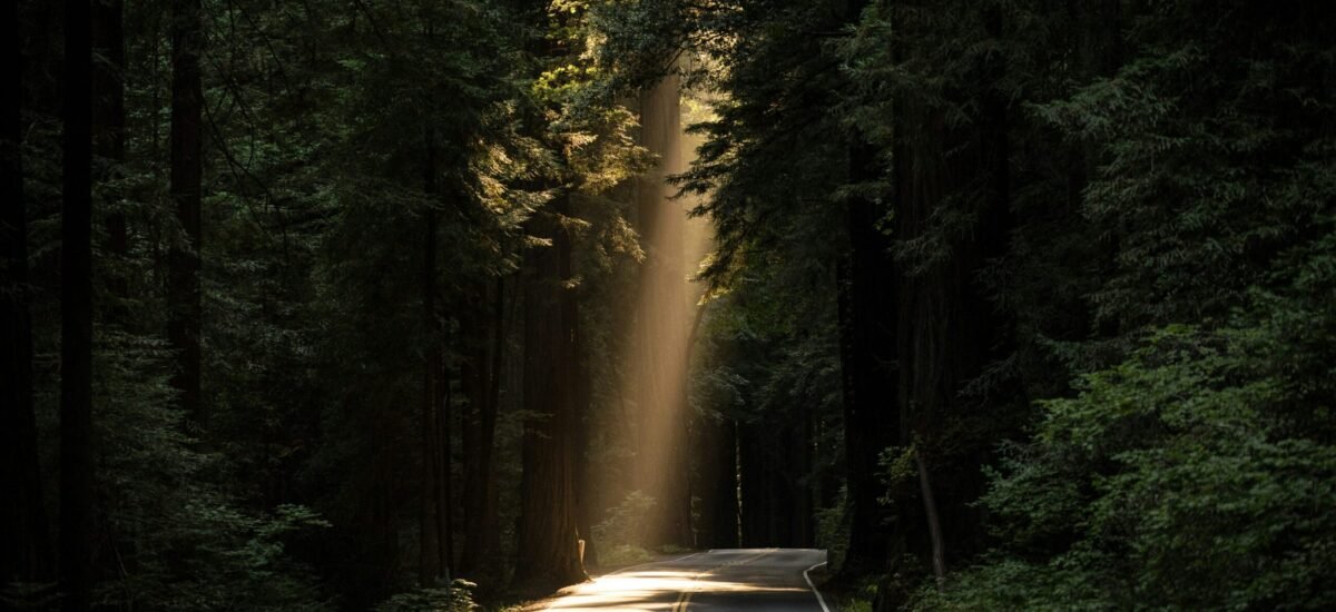 john-towner-3Kv48NS4WUU-unsplash